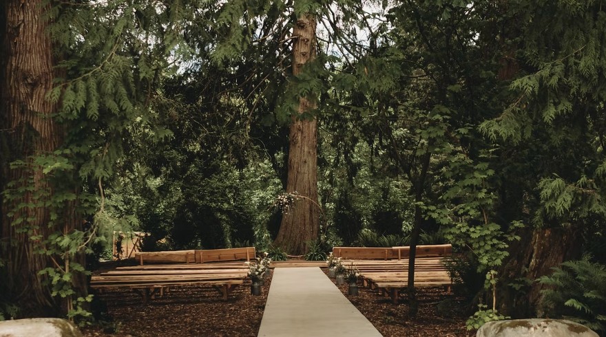 The Cedars Forest Wedding Ceremony
